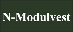 N-Modulvest